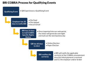 COBRA qualifying events chart