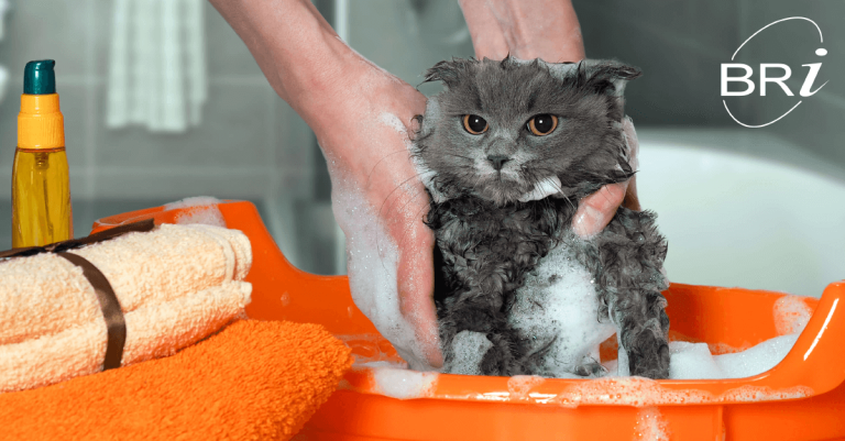 Most employees find enrolling in benefits unpleasant