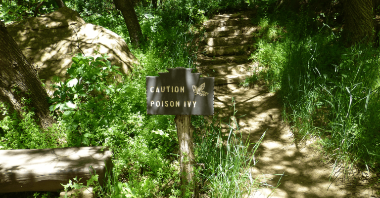 Enjoy summer wellness with these tips