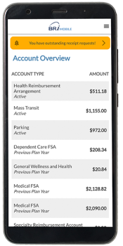 BRIMOBILE-Account-Overview